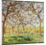 Spring at Giverny, 1903 by Claude Monet