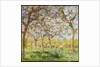 Spring at Giverny, 1903 by Claude Monet