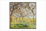 Spring at Giverny, 1903 by Claude Monet