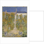 The Artist's Garden at Vetheuil, 1880 by Claude Monet