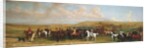 Coursing at Ashdown Park by Stephen Pearce