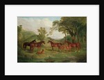 The Streatlam Stud, Mares and Foals, 1836 by John Frederick Herring Snr