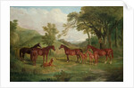 The Streatlam Stud, Mares and Foals, 1836 by John Frederick Herring Snr
