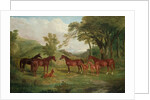 The Streatlam Stud, Mares and Foals, 1836 by John Frederick Herring Snr