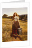 The Farmer's Daughter by John Everett Millais