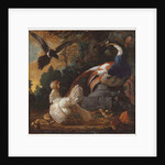 A peacock, poultry and a magpie in a landscape, 1720 by Abraham Bisschop