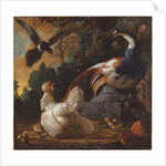 A peacock, poultry and a magpie in a landscape, 1720 by Abraham Bisschop
