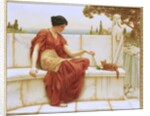 The Favourite, 1901 by John William Godward