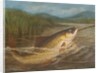 The fly fisherman's net by A. Roland Knight