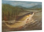 The fly fisherman's net by A. Roland Knight