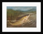 The fly fisherman's net by A. Roland Knight