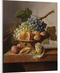 Grapes, an orange and walnuts in a wicker basket with a lemon and plums, all on a marble ledge by Johannes Cornelis Bruyn