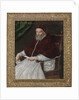 Portrait of Pope Gregory XIII by Lavinia Fontana