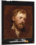 A bearded man, a study by Anthony van Dyck