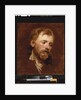 A bearded man, a study by Anthony van Dyck