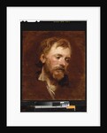 A bearded man, a study by Anthony van Dyck