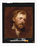A bearded man, a study by Anthony van Dyck
