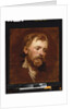 A bearded man, a study by Anthony van Dyck
