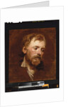 A bearded man, a study by Anthony van Dyck