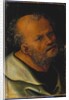 St. Peter by Lucas the Elder Cranach