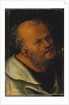 St. Peter by Lucas the Elder Cranach