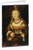 Portrait of a Young Lady, c.1350 by Lucas the Elder Cranach