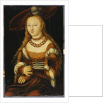 Portrait of a Young Lady, c.1350 by Lucas the Elder Cranach