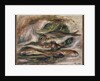 Fish, c.1919 by Pierre Auguste Renoir