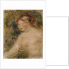 A Female Torso, 1910 by Pierre Auguste Renoir