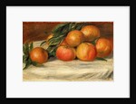 Still life with apples and oranges, c.1901 by Pierre Auguste Renoir