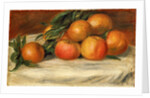Still life with apples and oranges, c.1901 by Pierre Auguste Renoir