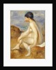 Bather, c.1892-93 by Pierre Auguste Renoir