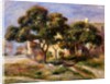 The Medlar Trees by Pierre Auguste Renoir