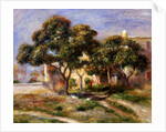 The Medlar Trees by Pierre Auguste Renoir