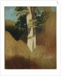 Tree with Blue Sky by Odilon Redon