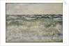 Seascape, 1881 by Claude Monet