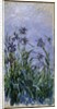 Purple Irises, 1914-17 by Claude Monet