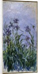 Purple Irises, 1914-17 by Claude Monet