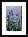 Purple Irises, 1914-17 by Claude Monet