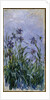 Purple Irises, 1914-17 by Claude Monet