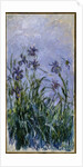 Purple Irises, 1914-17 by Claude Monet