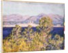 View of the Cap d'Antibes with the Mistral Blowing, 1888 by Claude Monet