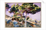 Trees by John Singer Sargent