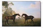 Two Hunters out at Grass by George Stubbs