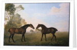 Two Hunters out at Grass by George Stubbs