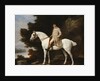 A Gentleman on a Grey Horse in a Rocky Wooded Landscape, 1781 by George Stubbs