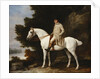 A Gentleman on a Grey Horse in a Rocky Wooded Landscape, 1781 by George Stubbs