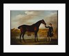 The Duke of Marlborough's Bay Hunter, with a Groom in Livery in a Lake Landscape by George Stubbs
