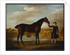The Duke of Marlborough's Bay Hunter, with a Groom in Livery in a Lake Landscape by George Stubbs