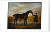 The Duke of Marlborough's Bay Hunter, with a Groom in Livery in a Lake Landscape by George Stubbs